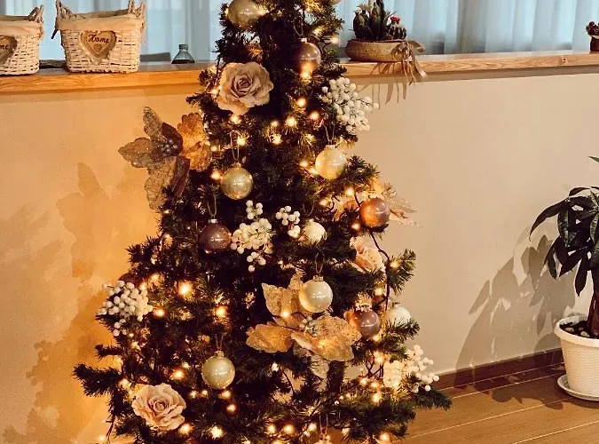 Affittacamere Tempio Aurora